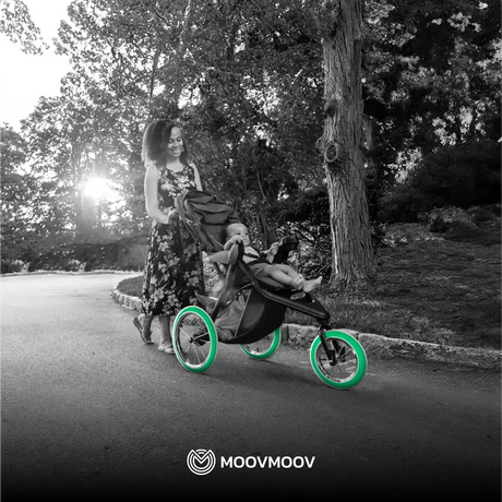 Cámara de aire de 12 pulgadas para cochecito