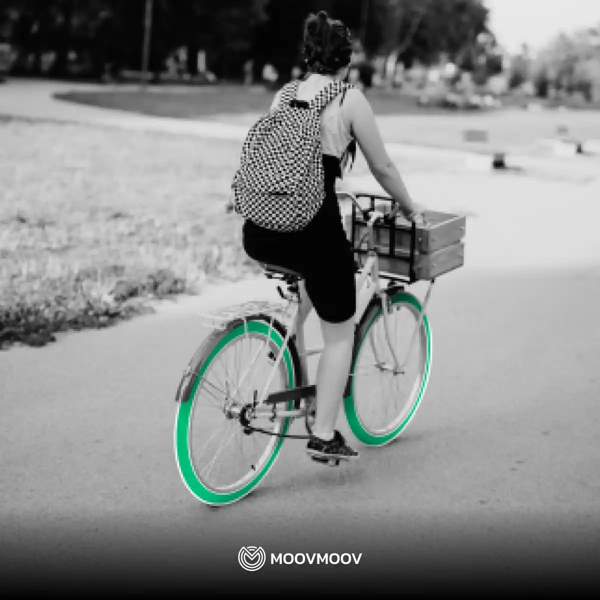 Cámara de aire 26 pulgadas 64 559