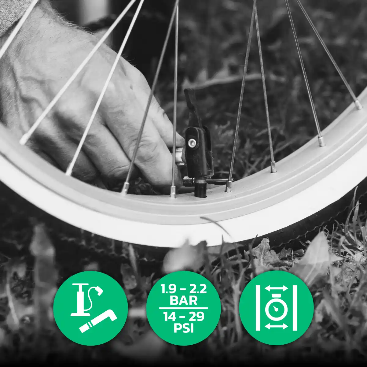 Cámara de aire 26 x 1 95 válvula schrader