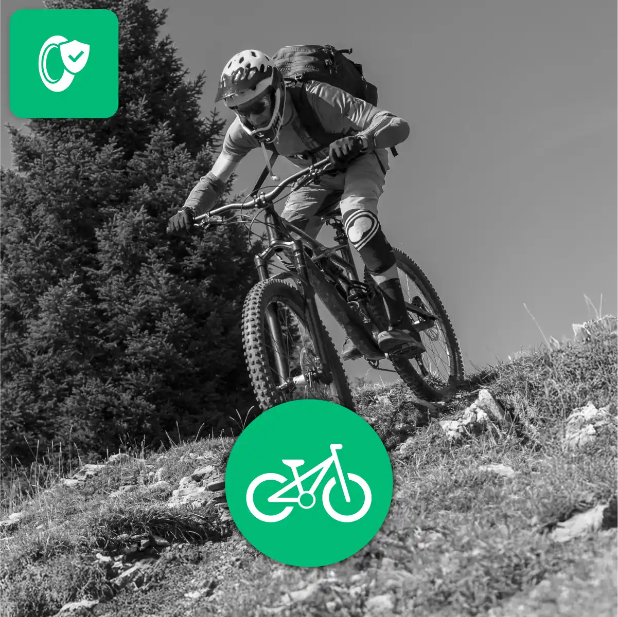 Cámara de aire 50 622 etrto