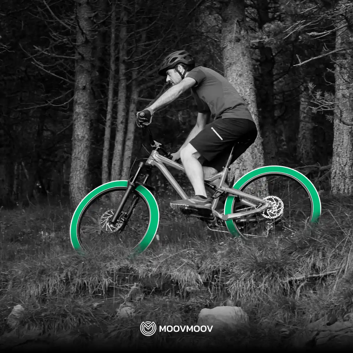 Cámara de aire bicicleta 29 pulgadas válvula presta