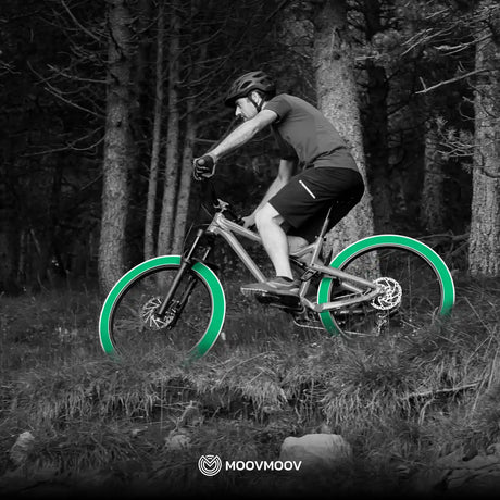 Cámara de aire bicicleta 29 pulgadas válvula presta