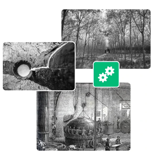 Plantación de hevea y grabado que data de 1837 y representa el proceso de vulcanización por vapor